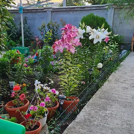 Vila Lili *