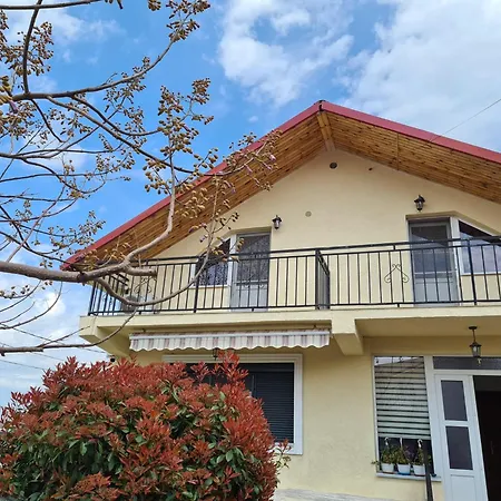 Vila Lili Homestay *