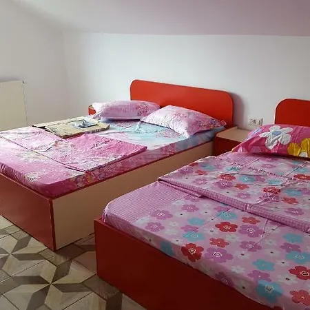 Vila Lili Homestay *